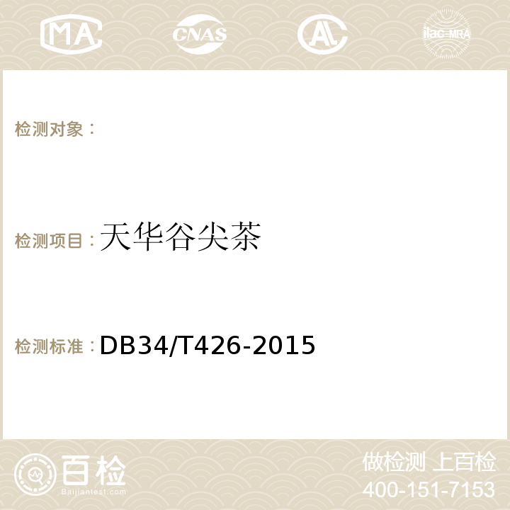 天华谷尖茶 DB34/T 426-2015 地理标志产品 天华谷尖茶