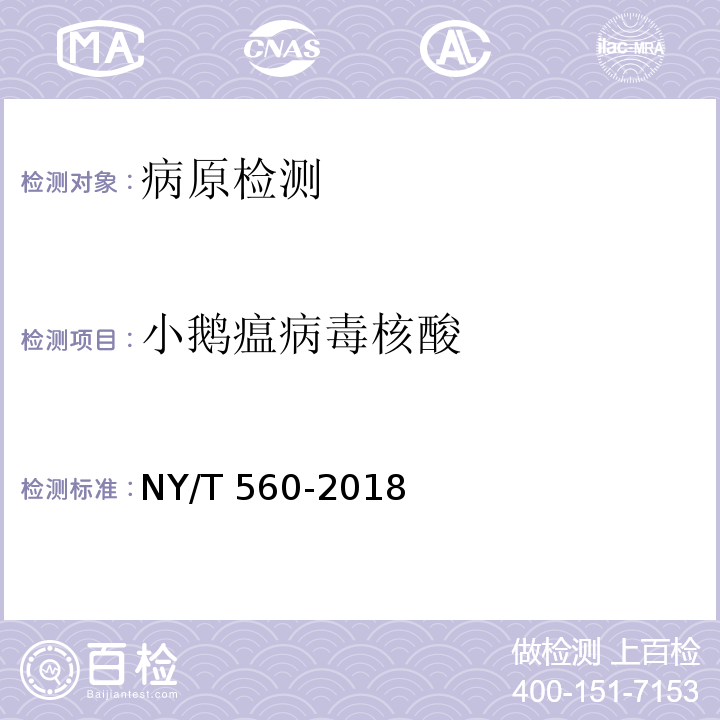 小鹅瘟病毒核酸 小鹅瘟诊断技术 NY/T 560-2018