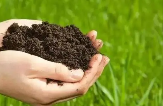 微生物肥料检测，有效活菌数和杂菌含量微生物肥料