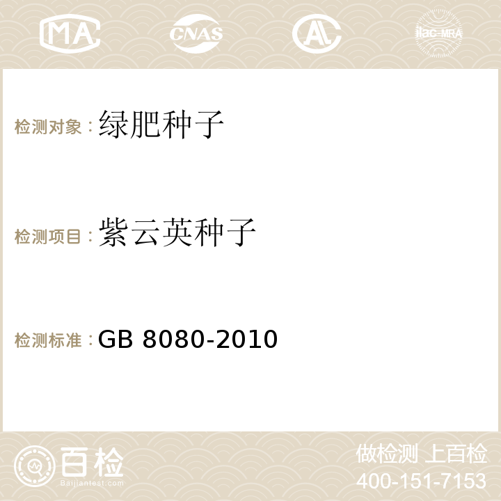 紫云英种子 GB 8080-2010 绿肥种子