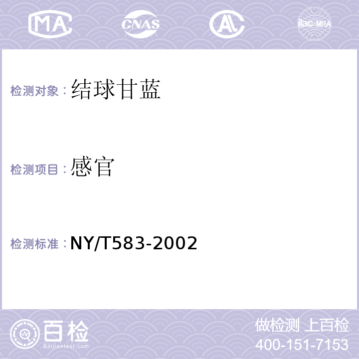 感官 结球甘蓝NY/T583-2002