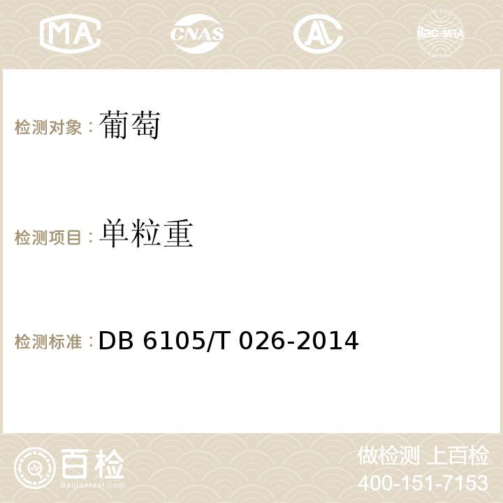 单粒重 红地球葡萄 DB 6105/T 026-2014