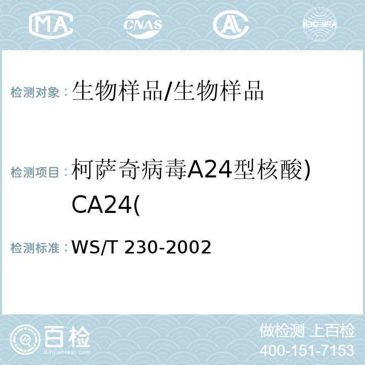 柯萨奇病毒A24型核酸)CA24( WS/T 230-2002 临床诊断中聚合酶链反应(PCR)技术的应用