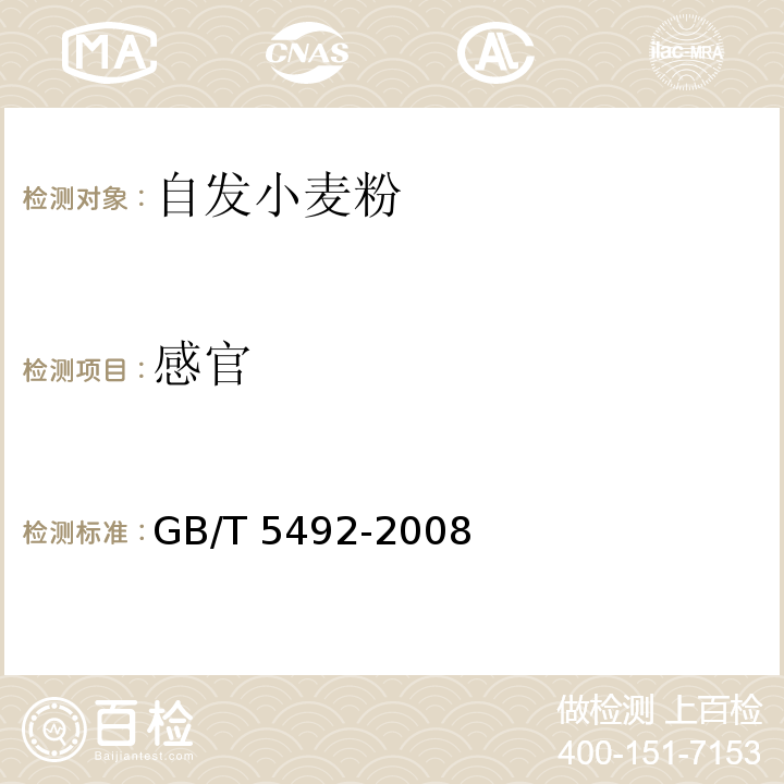 感官 粮油检验 粮食、油料的色泽、气味、口味鉴定 GB/T 5492-2008