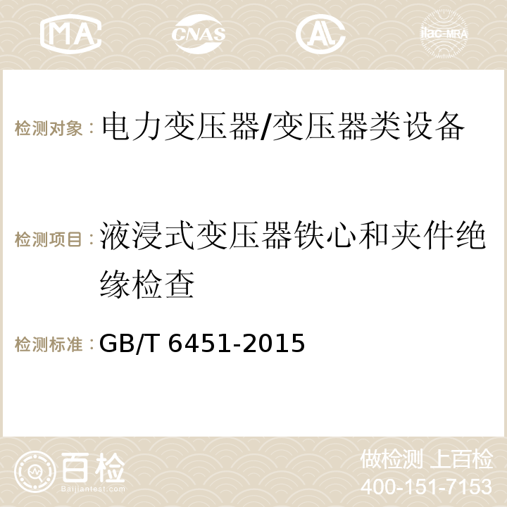 液浸式变压器铁心和夹件绝缘检查 油浸式电力变压器技术参数和要求 /GB/T 6451-2015