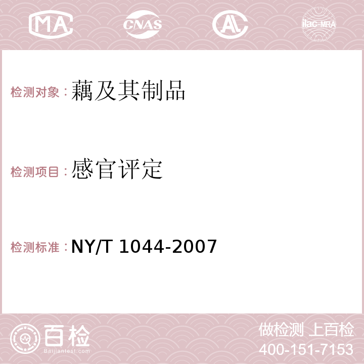 感官评定 绿色食品 藕及其制品 NY/T 1044-2007