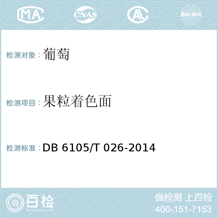 果粒着色面 DB 6105/T 026-2014 红地球葡萄 