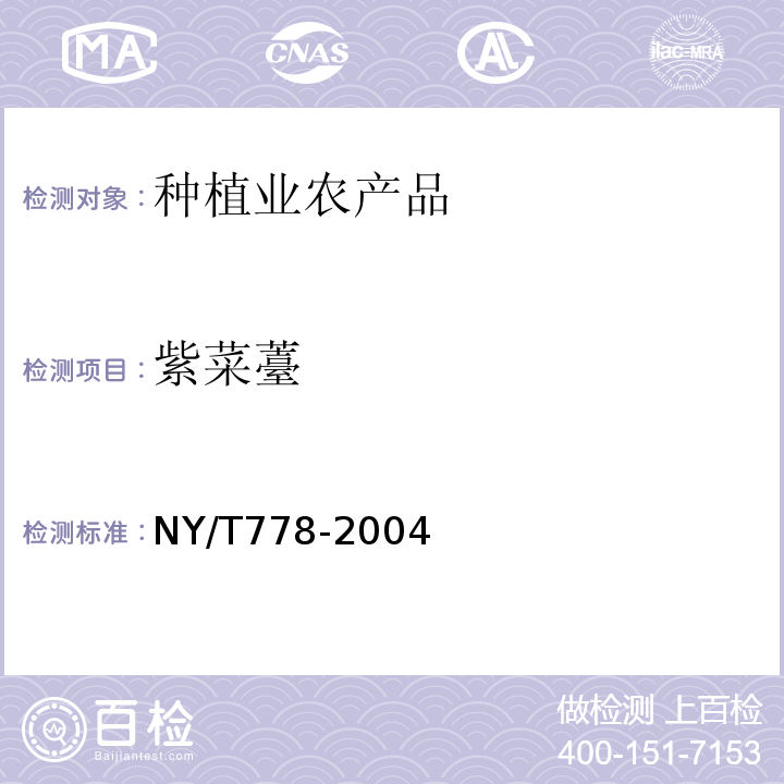 紫菜薹 NY/T 778-2004 紫菜薹