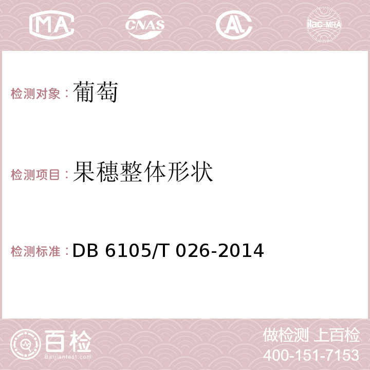 果穗整体形状 DB 6105/T 026-2014 红地球葡萄  