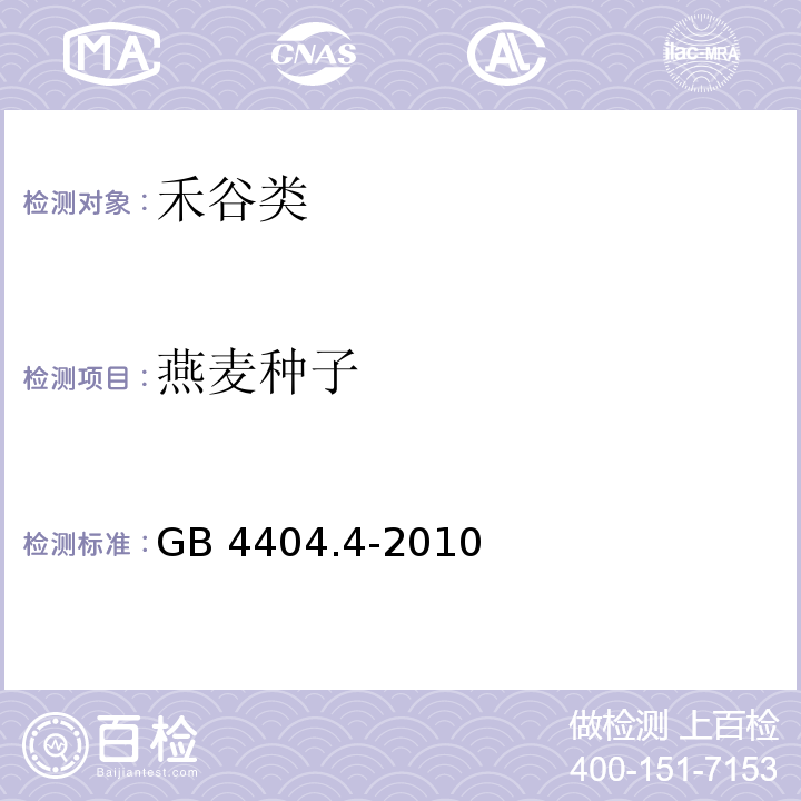 燕麦种子 GB 4404.4-2010 粮食作物种子 第4部分:燕麦