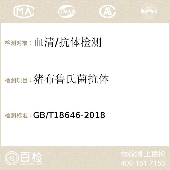 猪布鲁氏菌抗体 GB/T 18646-2018 动物布鲁氏菌病诊断技术