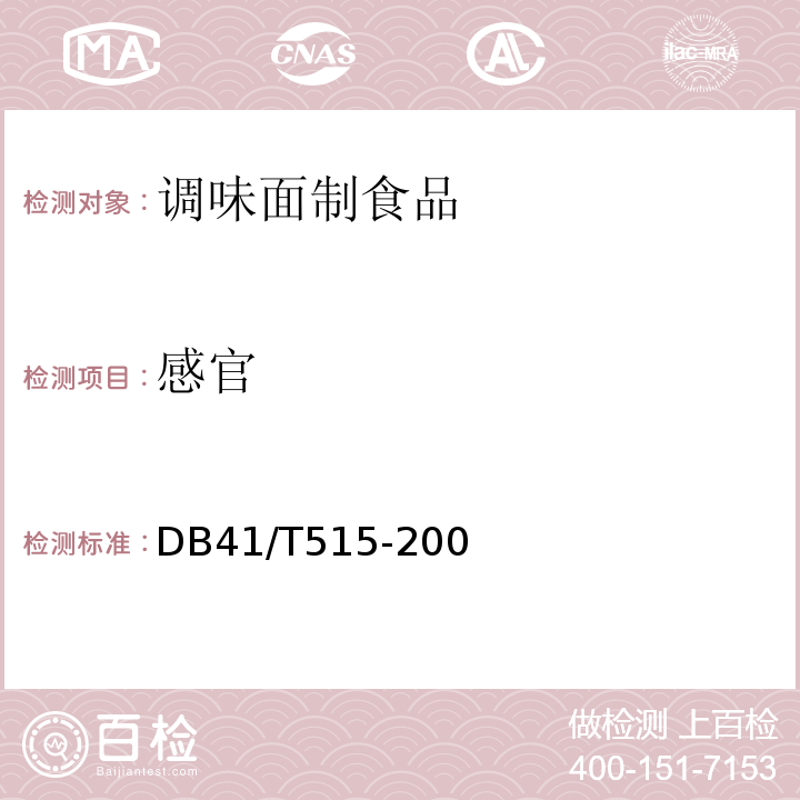 感官 DB41/T515-200 调味面制食品