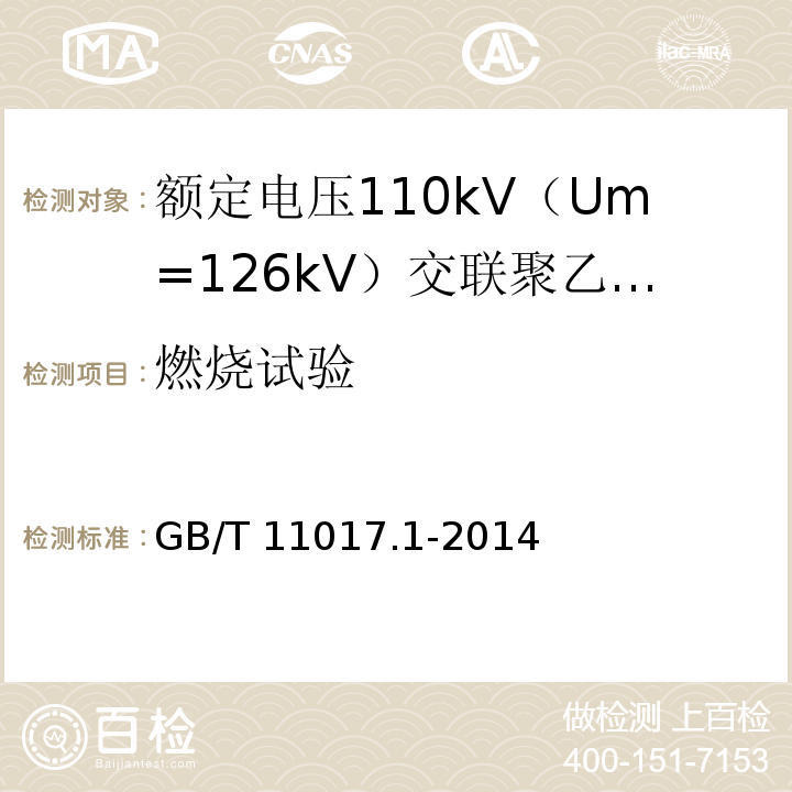 燃烧试验 额定电压110kV（Um=126kV）交联聚乙烯绝缘电力电缆及其附件 第1部分：试验方法和要求GB/T 11017.1-2014