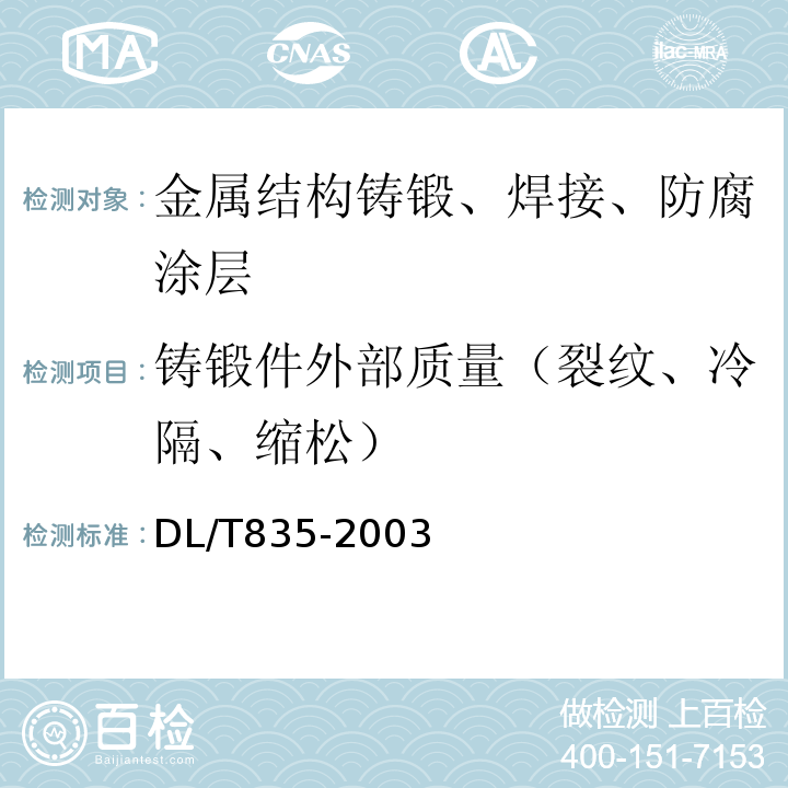 铸锻件外部质量（裂纹、冷隔、缩松） 水工钢闸门和启闭机安全检测技术规程DL/T835-2003