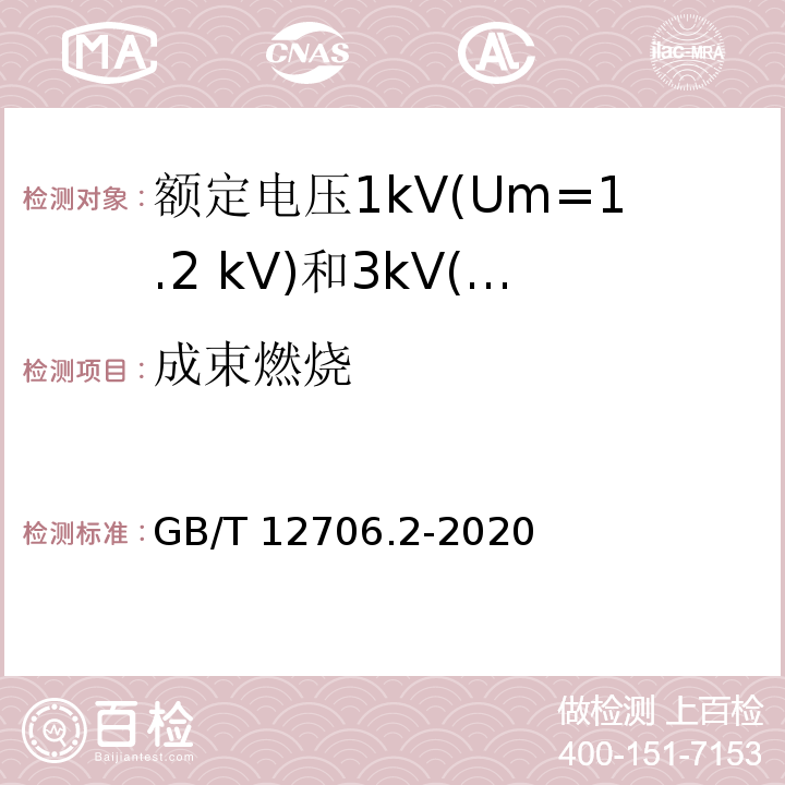 成束燃烧 额定电压1kV（Um=1.2kV）到35kV（Um=40.5kV）挤包绝缘电力电缆及附件 第2部分:额定电压6kV(Um=7.2 kV)到30kV(Um=36kV)电缆 GB/T 12706.2-2020