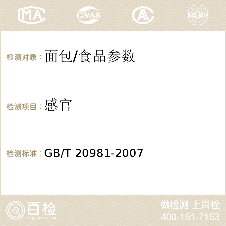感官 面包/GB/T 20981-2007