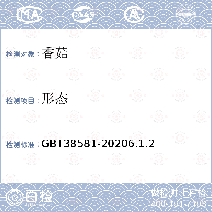 形态 香菇GBT38581-20206.1.2