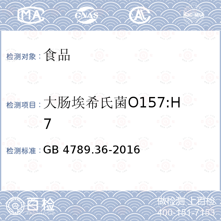 大肠埃希氏菌O157:H7 食品安全国家标准 食品微生物学检验 大肠埃希氏菌0157:H7/NM检验 GB 4789.36-2016