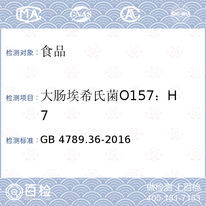 大肠埃希氏菌O157：H7 食品安全国家标准 食品微生物学检验 大肠埃希氏菌O157：H7/NM检验