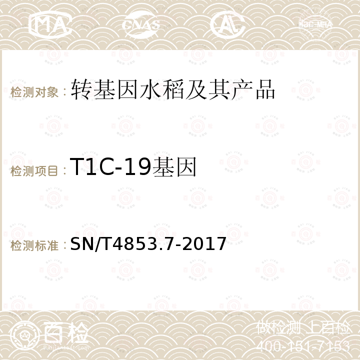 T1C-19基因 转基因大米定量检测数字PCR法 第7部分：T1C-19品系