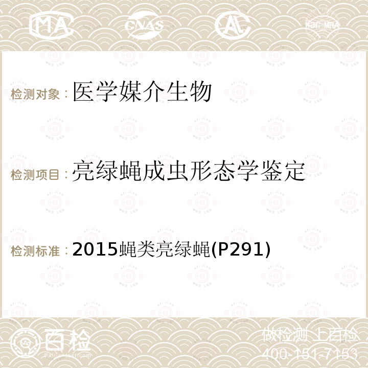 亮绿蝇成虫形态学鉴定 中国国境口岸医学媒介生物鉴定图谱 天津科学技术出版社 