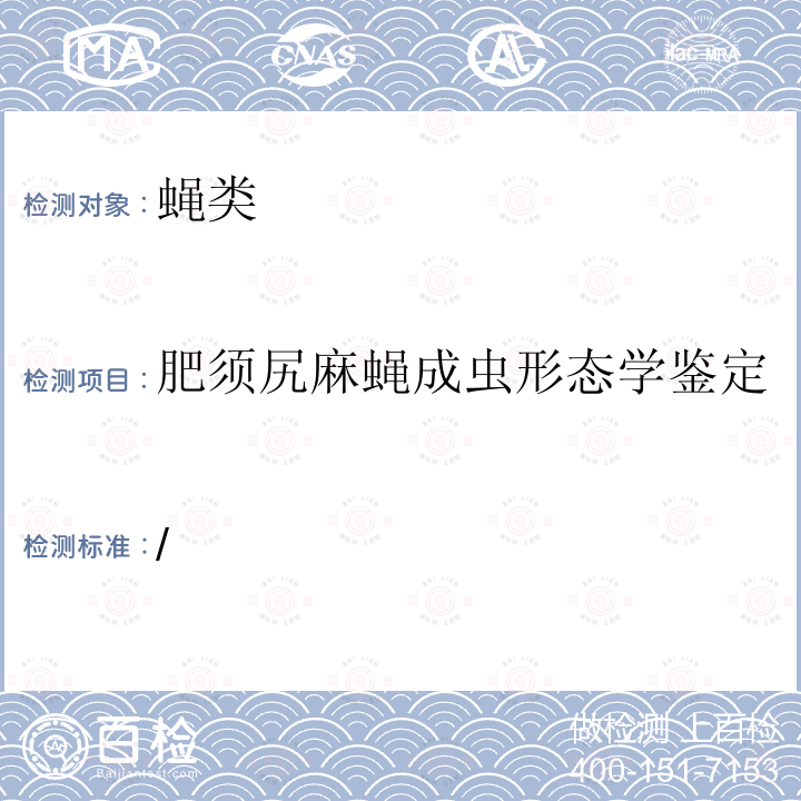 肥须尻麻蝇成虫形态学鉴定 中国重要医学昆虫分类与鉴定  (第一版) 河南科学技术出版社 2003 第六章 五（九）肥须尻麻蝇P426)