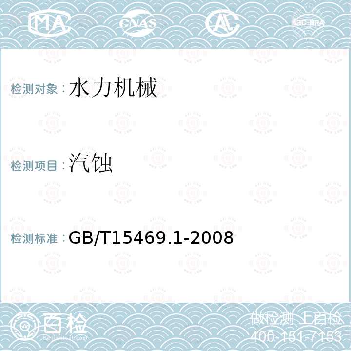 汽蚀 水轮机、蓄能泵和水泵水轮机空蚀评定 第1部分：反击式水轮机的空蚀评定