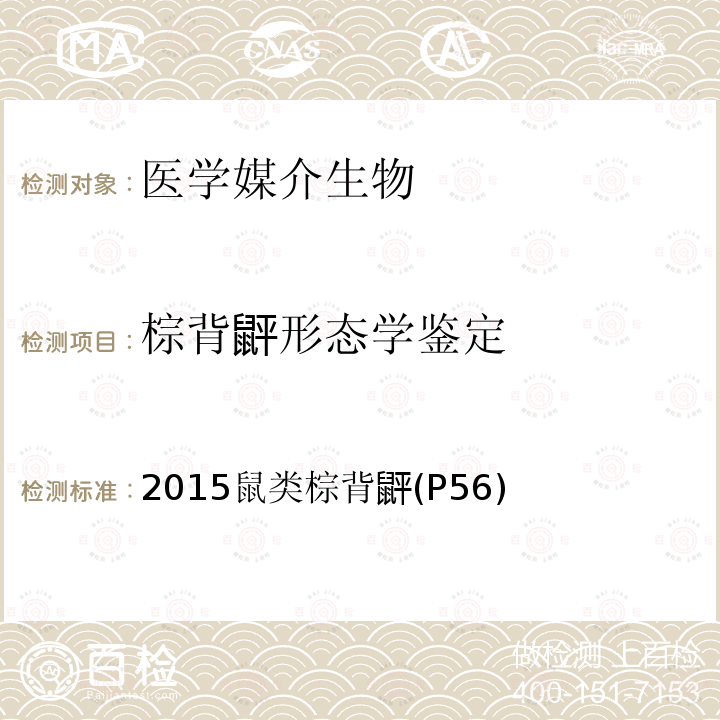 棕背䶄形态学鉴定 中国国境口岸医学媒介生物鉴定图谱 天津科学技术出版社