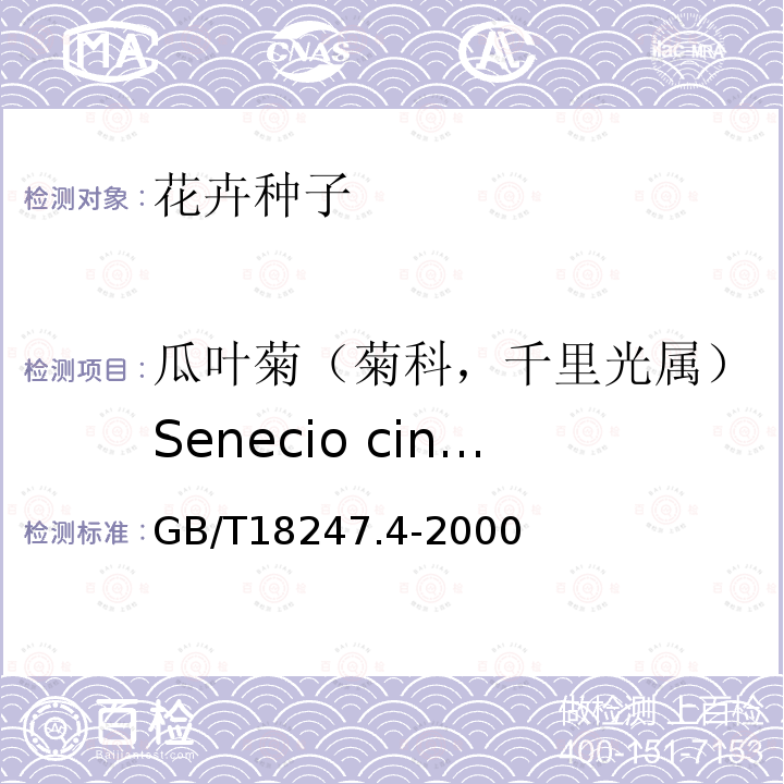 瓜叶菊（菊科，千里光属）Senecio cineraria L. GB/T 18247.4-2000 主要花卉产品等级 第4部分:花卉种子