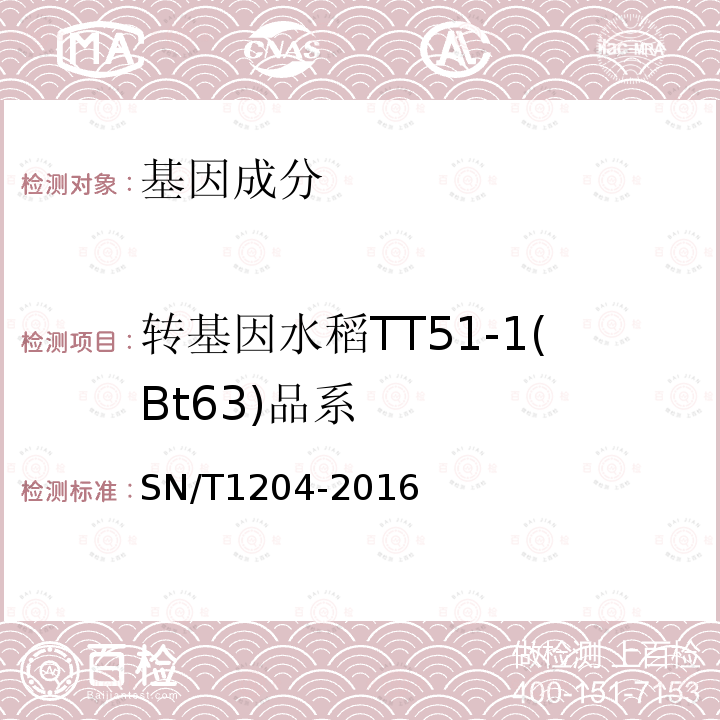 轉基因水稻TT51-1(Bt63)品系 植物及其加工產品中轉基因成分實時熒光PCR定性檢驗方法