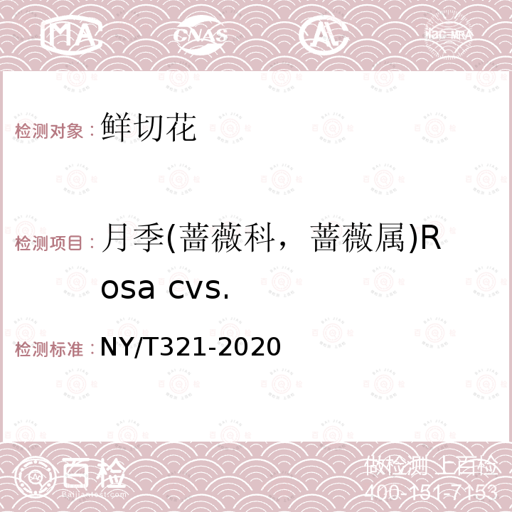 月季(蔷薇科，蔷薇属)Rosa cvs. NY/T 321-2020 月季切花等级规格