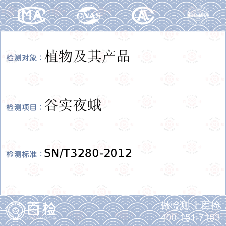 谷實夜蛾 谷實夜娥檢疫鑒定方法