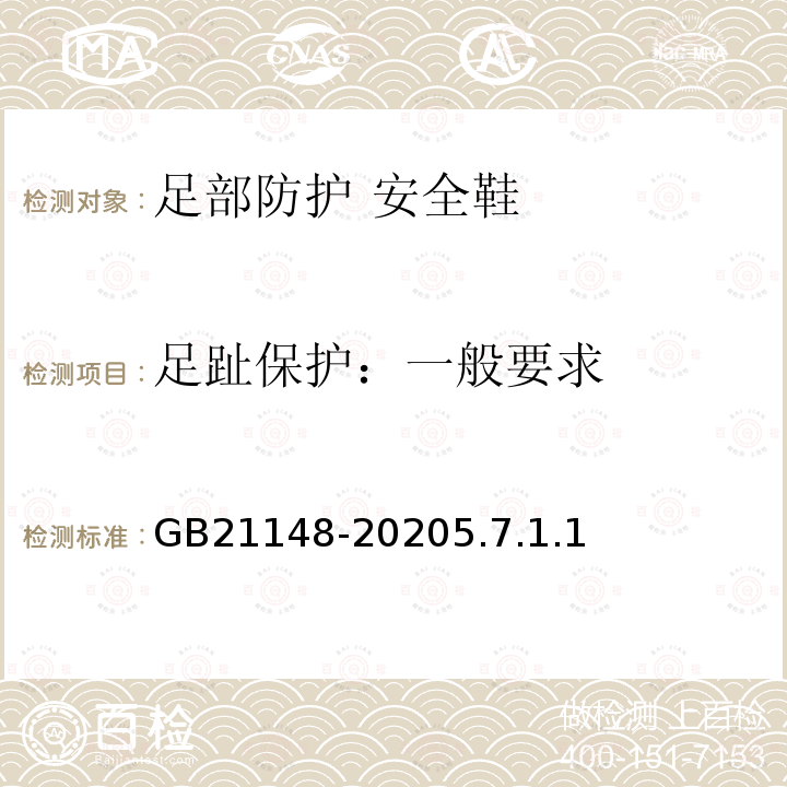 足趾保护：一般要求 GB 21148-2020 足部防护 安全鞋