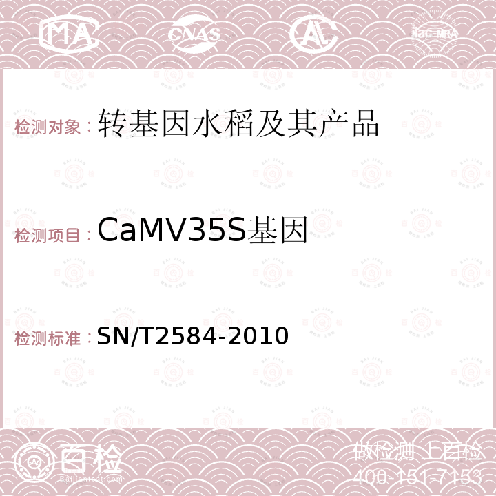 CaMV35S基因 水稻及其产品中转基因成分实时荧光PCR检测方法