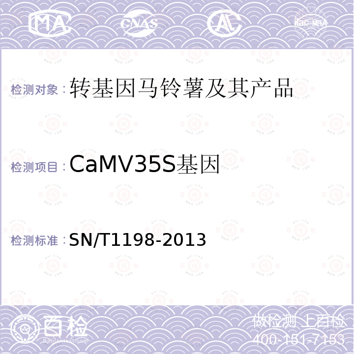 CaMV35S基因 转基因成分检测 马铃薯检测方法