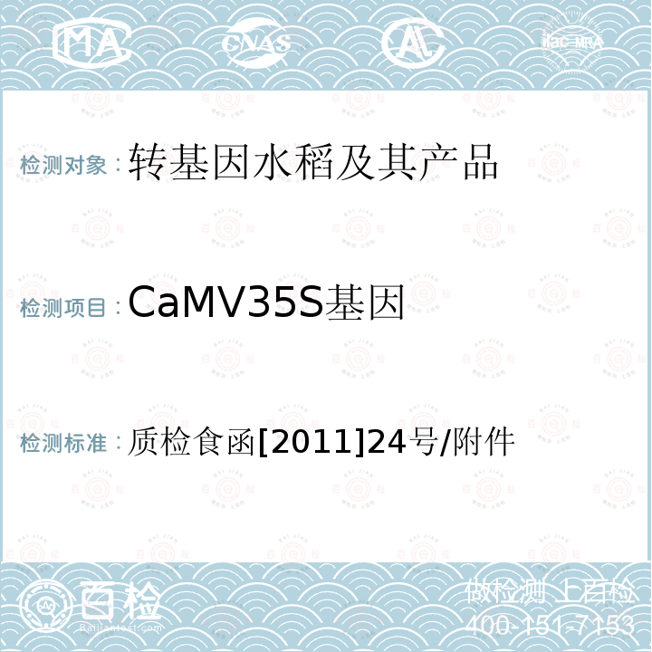 CaMV35S基因 输欧稻米及米制品转基因实时荧光PCR定性检测实验室标准操作规程