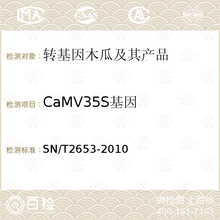 CaMV35S基因 SN/T 2653-2010 木瓜中转基因成分定性PCR检测方法