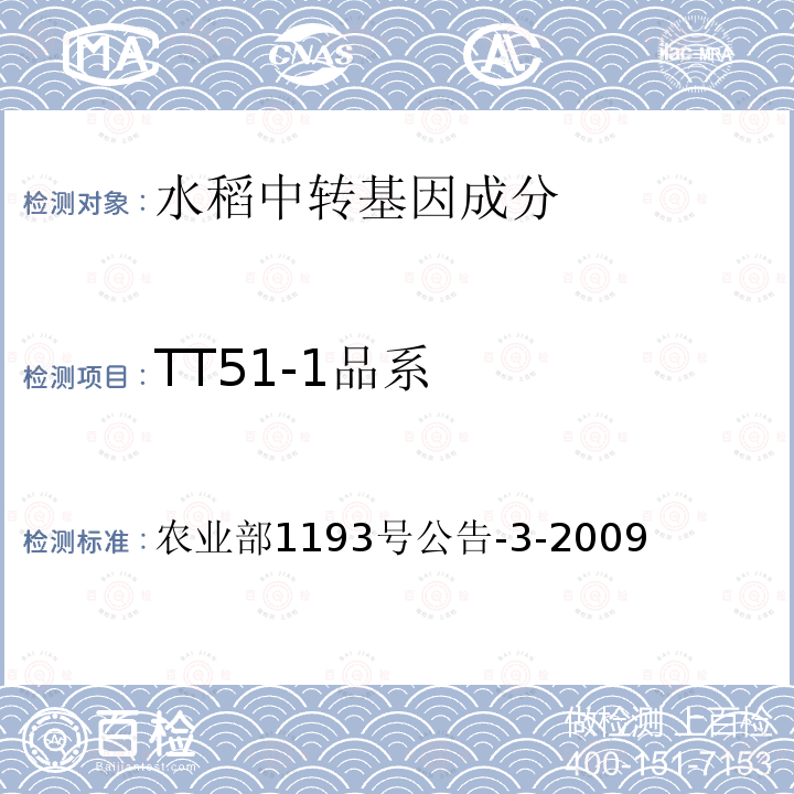 TT51-1品系 转基因植物及其产品成分检测 抗虫水稻TT51-1及其衍生品种定性PCR方法