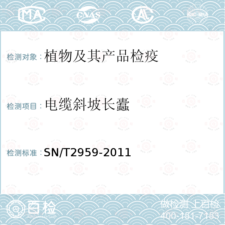 电缆斜坡长蠹 SN/T 2959-2011 昆虫常规检疫规范