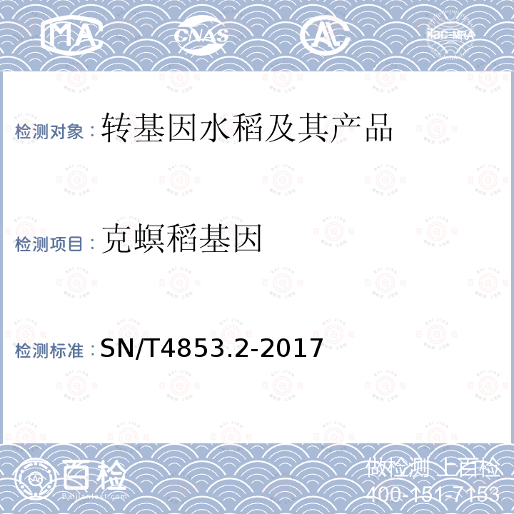 克螟稻基因 转基因大米定量检测数字PCR法 第2部分：克螟稻品系