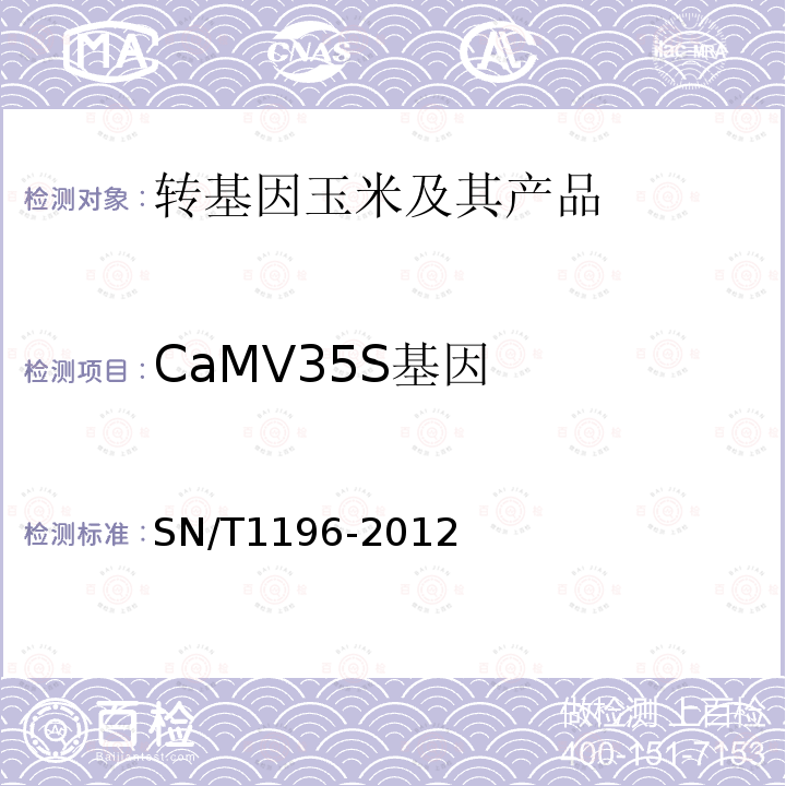 CaMV35S基因 SN/T 1196-2012 转基因成分检测 玉米检测方法