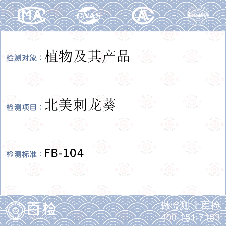 北美刺龙葵 FB-104 杂草鉴定