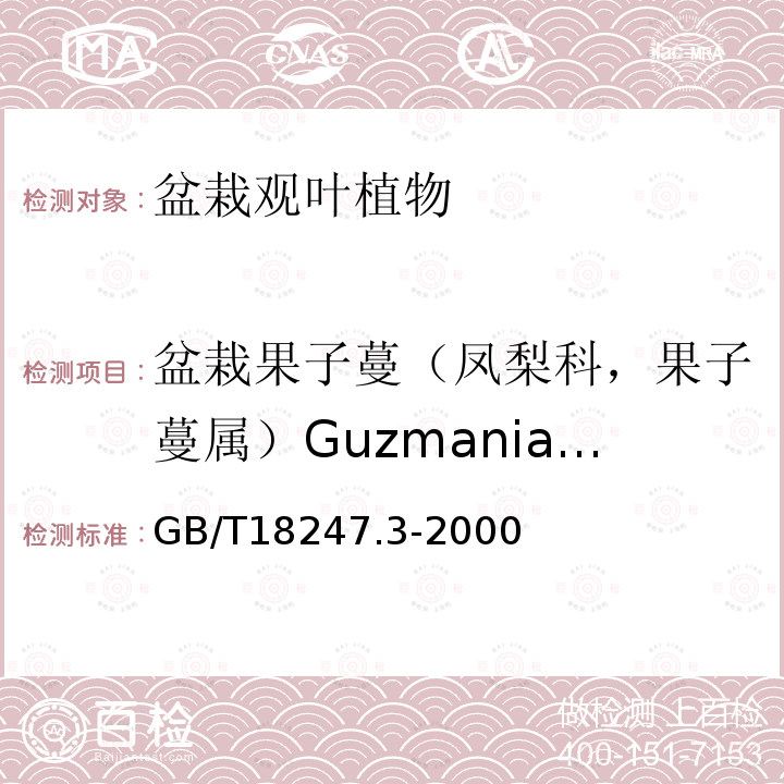 盆栽果子蔓（凤梨科，果子蔓属）Guzmania spp. 主要花卉产品等级第3部分：盆栽观叶植物