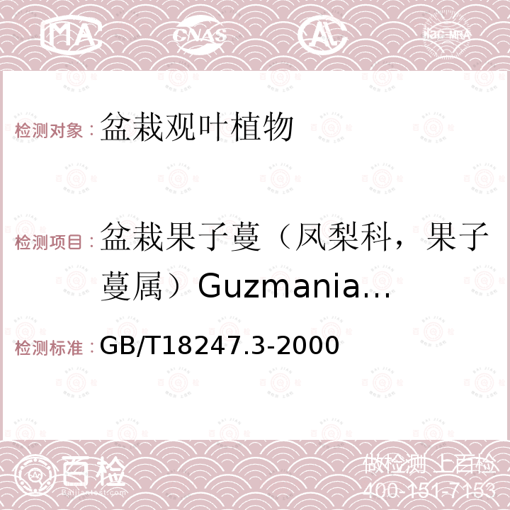 盆栽果子蔓（凤梨科，果子蔓属）Guzmania spp. GB/T 18247.3-2000 主要花卉产品等级 第3部分:盆栽观叶植物