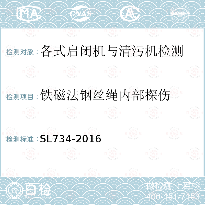 铁磁法钢丝绳内部探伤 水利工程质量检测技术规程