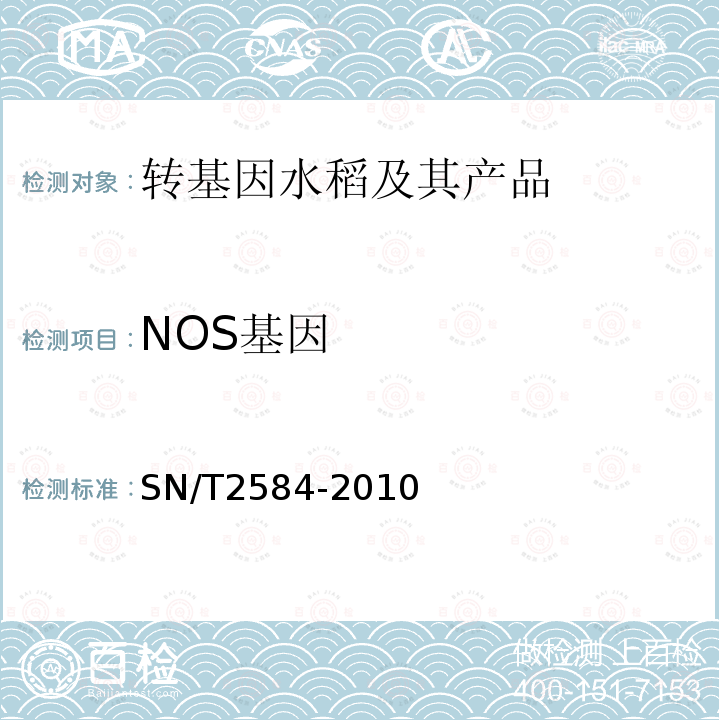 NOS基因 水稻及其产品中转基因成分实时荧光PCR检测方法