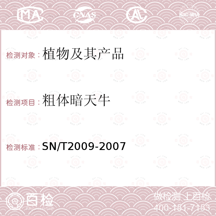 粗体暗天牛 南欧暗天牛、圆弧暗天牛、粗体暗天牛检疫鉴定方法