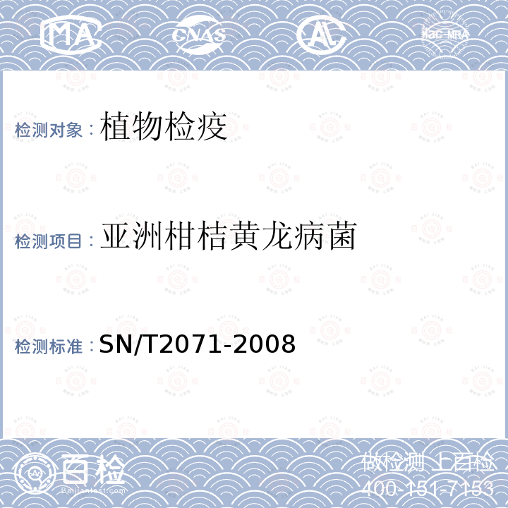 亚洲柑桔黄龙病菌 亚洲柑桔黄龙病菌检疫鉴定方法