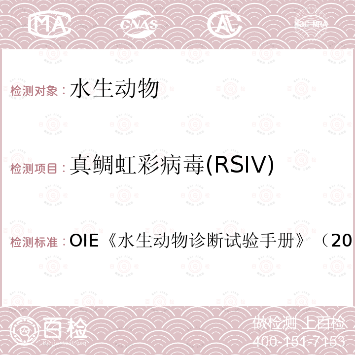 真鲷虹彩病毒(RSIV) 真鲷虹彩病毒病