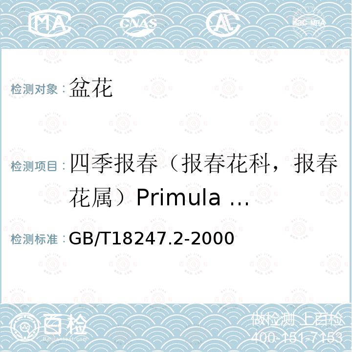 四季报春（报春花科，报春花属）Primula obconica GB/T 18247.2-2000 主要花卉产品等级 第2部分:盆花